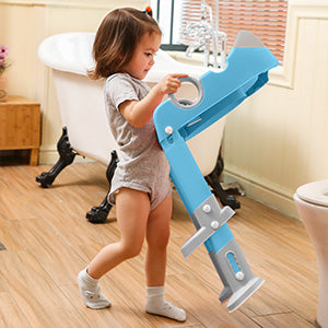 Potty Training Toilet Seat With Ladder