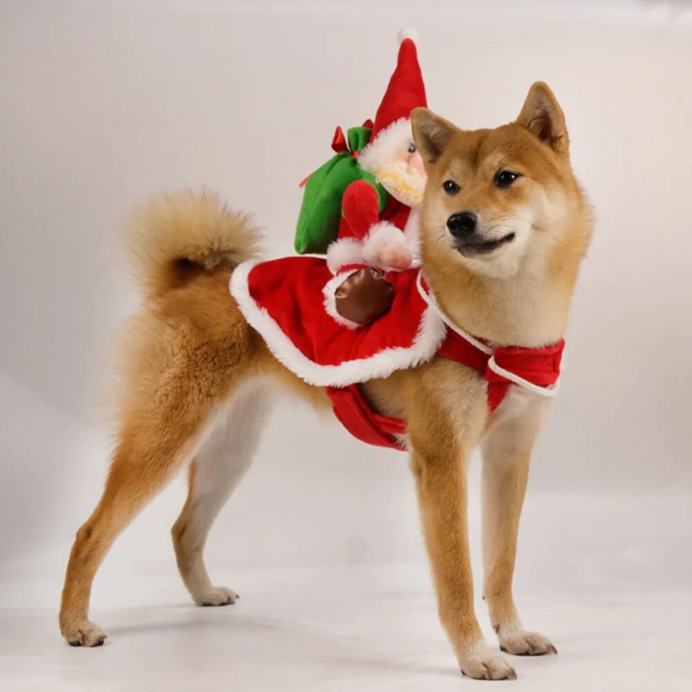 Santa Christmas Dog Costumes.